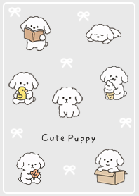 Soothing, fluffy toy poodle 03_2