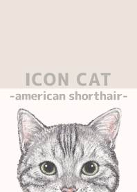 ICON CAT - American Shorthair - BEIGE/01