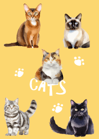 unique cats on light yellow