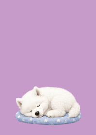 Baby Samoyed02 light purple