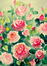 Beautiful rose flower(R4301)