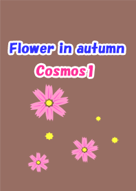 秋の花(コスモス1)
