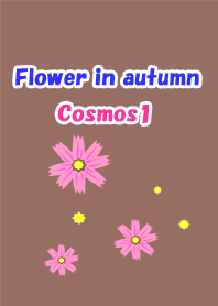 Flower in autumn(Cosmos1)