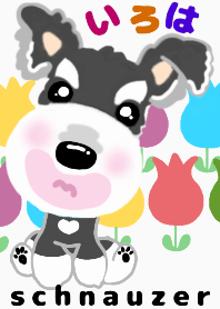 gentle schna dress-up