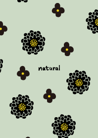 2種の花 黒13