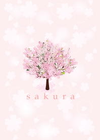 Sakura in spring 4
