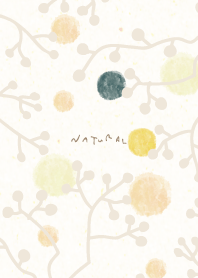 winter branch15 from Japan