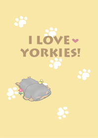 <Kawaii>Dog's Theme (Yorkshire Terrier)
