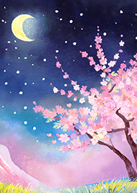 Beautiful night cherry blossoms#917