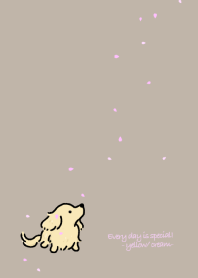 Every day is special! -yellow/cream-