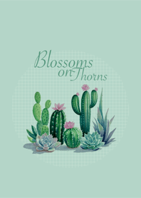 Blossoms on Thorns (LG)