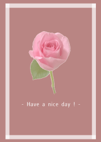 - Rose Theme - 12