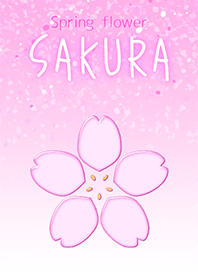 Spring flower -sakura-
