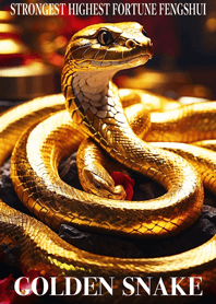 Golden snake  Lucky 25