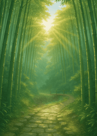 Bamboo Forest Path Of Light