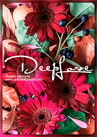 Deep Love～秋の花・ガーベラ～