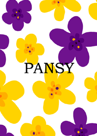 *PANSY*