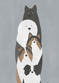 Order dog - Shepherd