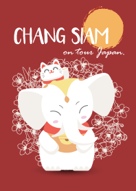 CHANG SIAM on tour Japan.