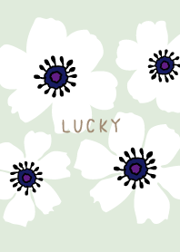 Anemone simple16 from Japan