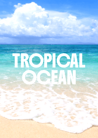 TROPICAL OCEAN THEME 42