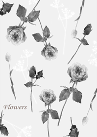 Surrounded by classical roses4.