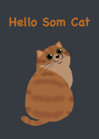 Hello Som Cat Orange