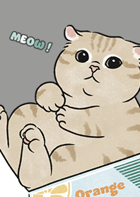 neko single19 / dim grey