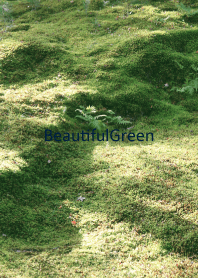 BeautifulGreen-moss 7