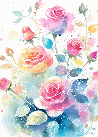 Beautiful rose flower(R4413)