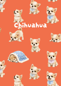 I love Chihuahuas01 red & yellow