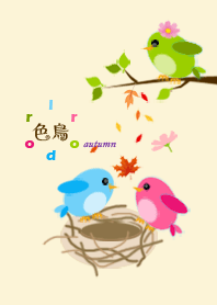 colorbirds-autumnflower
