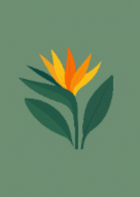 Bright bird of paradise flower