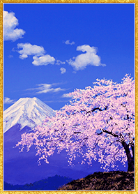 Jin Shimakura Cherryblossoms and Mt.Fuji