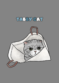 tabbycat8 / dark grey .jp