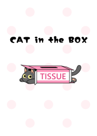 CAT in the BOX【黒猫】