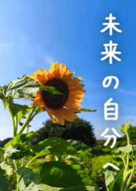 ひまわり未来の自分へAM