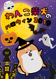 wanko shibainu