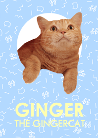 Ginger The Gingercat 2