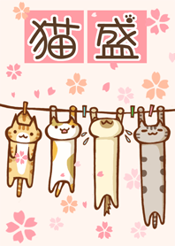 Cat special portion No.18 Laundry SAKURA