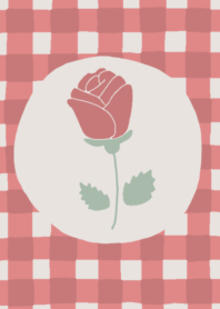 Red gingham check.  (rose)