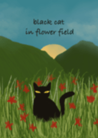 Black cat in flower field
