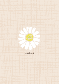 Gerbera Hemp8 from Japan