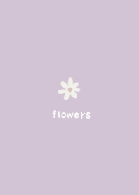 Flowes -daisy purple-