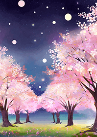 Beautiful night cherry blossoms#47