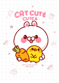 Cats cute cute v.4