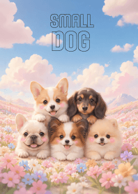 Lovely Small Dog Gang In Flower