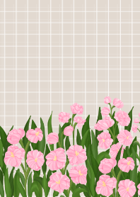 แมตทิโอลาดอกไม้พื้นหลังสีน้ำตาล