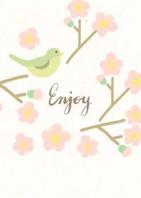 Cute nightingale5 from Japan