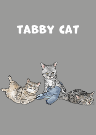 tabbycat5 / dim grey